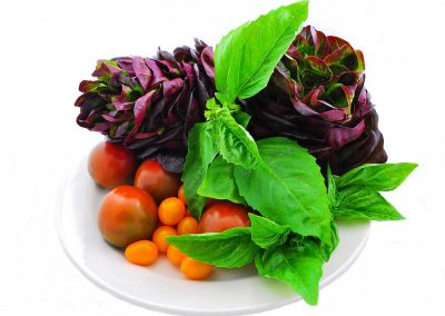 Always the real thing, always Food.